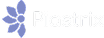 Piastrix icon